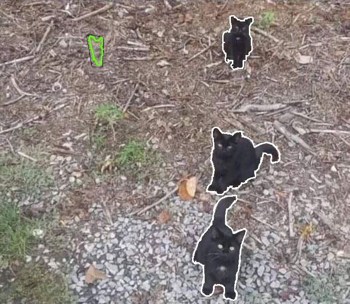 Image défi montrant trois chats visibles et un quatrième caché