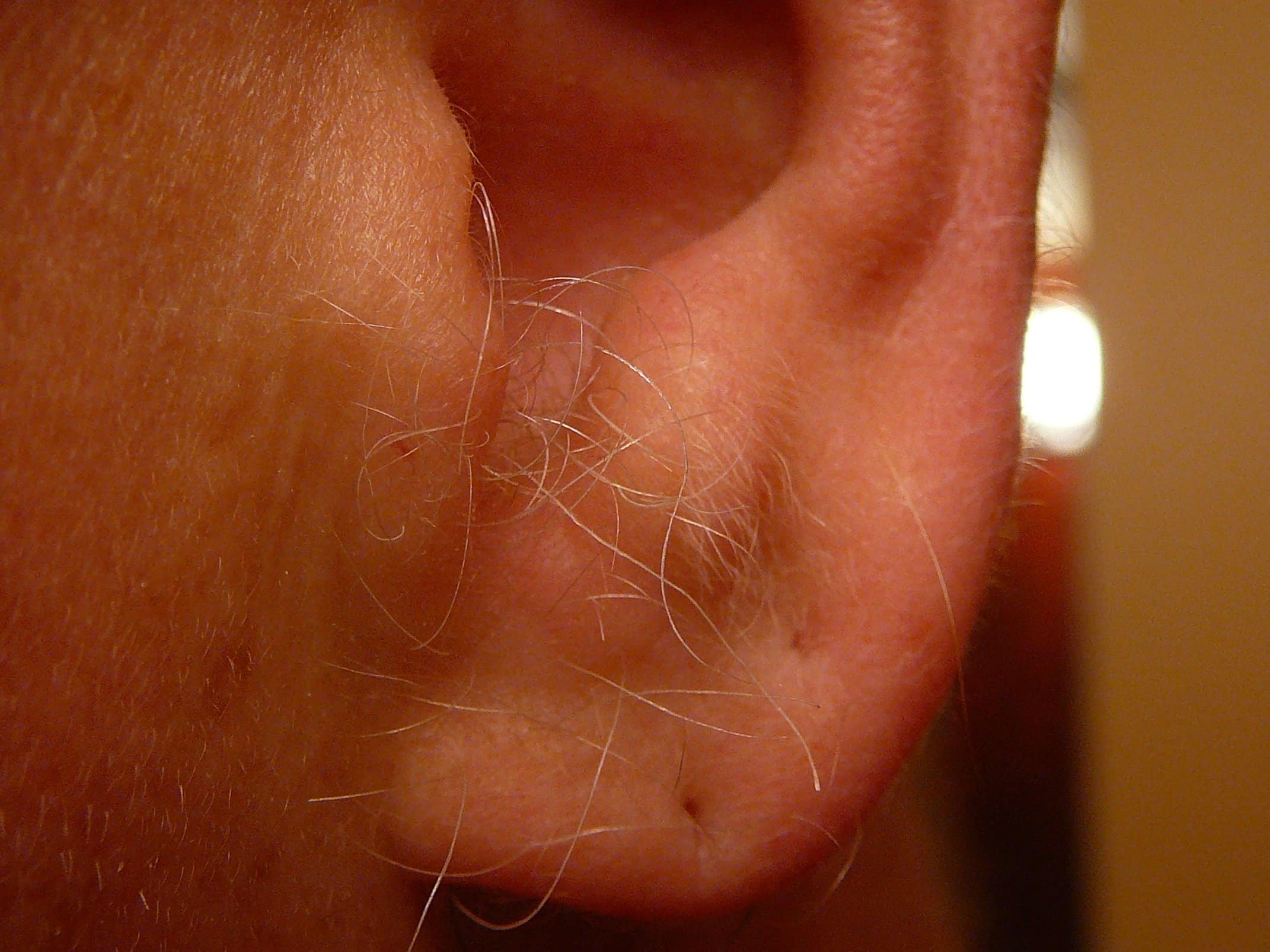 Poils dans l'oreille