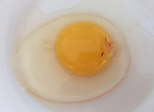 Œuf avec tache rouge posé sur une poêle