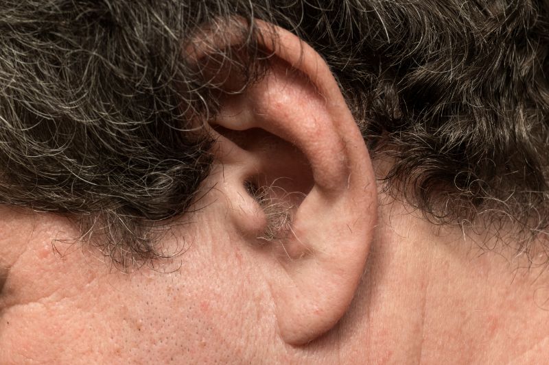 Gros plan sur des poils d'oreille