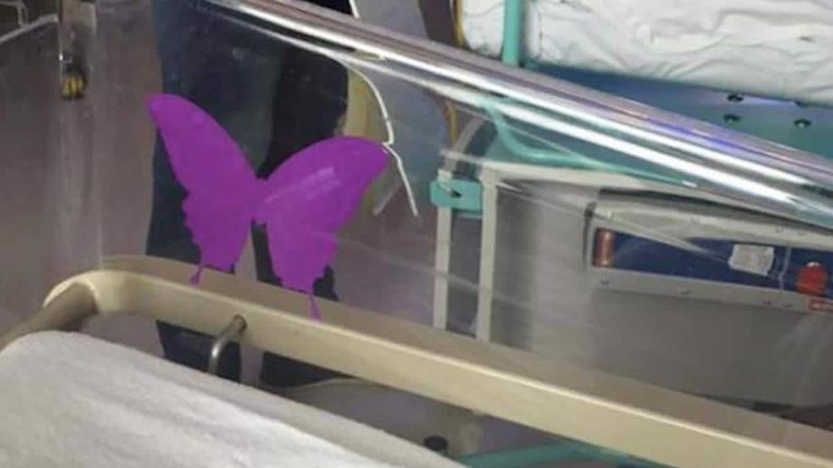 Chambre de maternité avec berceau et symbole du papillon violet