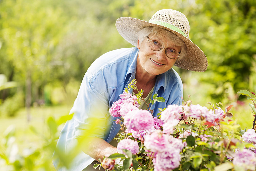 Dame âgée souriante jardinant et tenant des fleurs dans ses mains