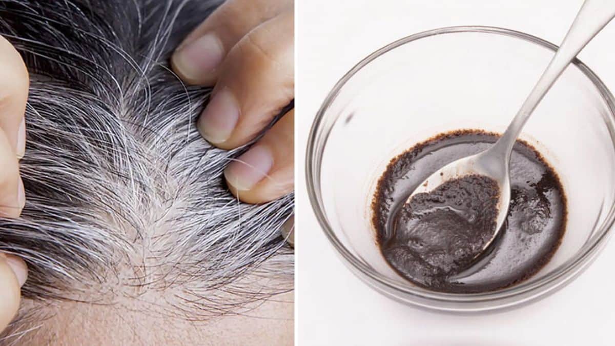 Préparation de teinture capillaire au café