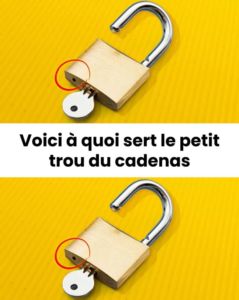 Focus Tiny City – Maison compacte et abordable de 74m²